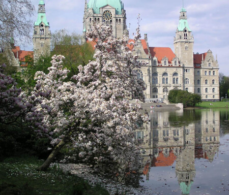 Пора цветения