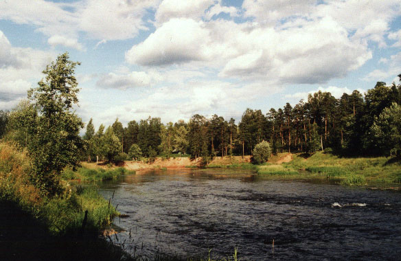 Оредеж