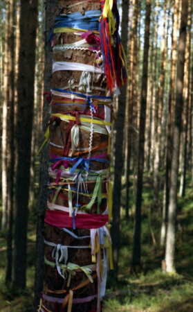 Ленточное древо.