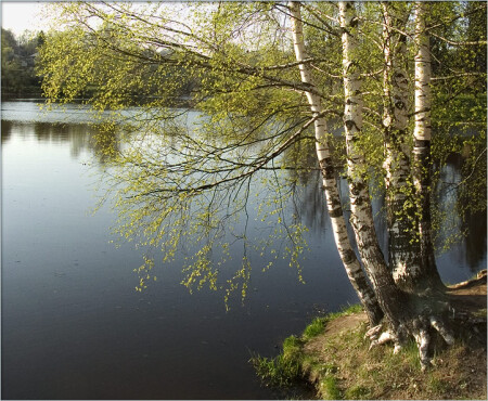 На краю