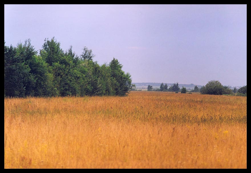Цвета