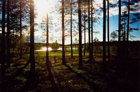 Против Солнца