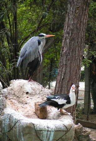 - Капитан на мостике!