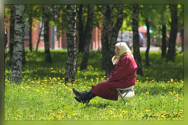 Про дремучий лес и красну девицу ...