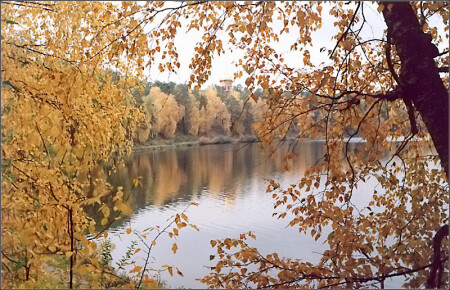 Золотая осень