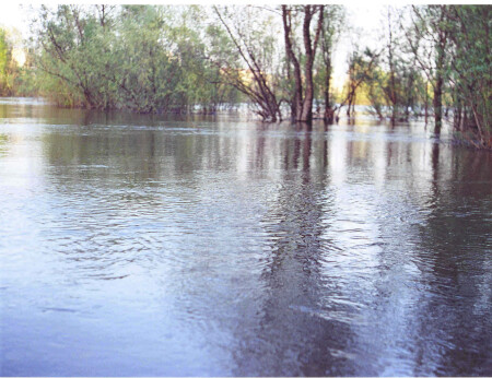 Рябь на воде