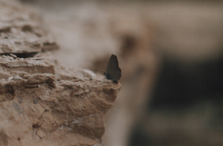 хрупкое на грубом