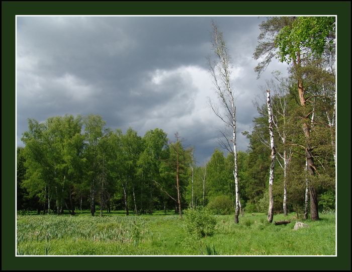 Пред грозой