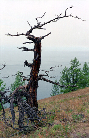 Мне бы в небо...