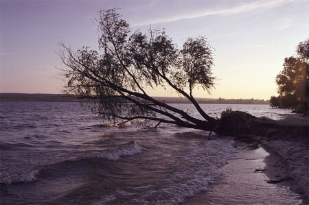 До последнего корня