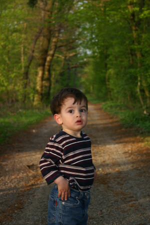 Пошли домой