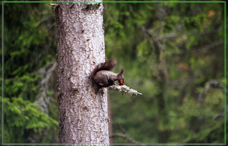 не мешайте мне