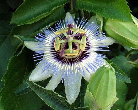 Это что-то...