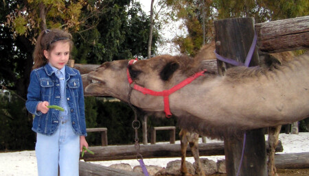 Ой, мамочка! (Принцесса и Дракон)