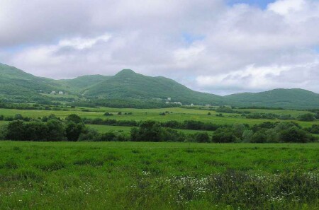 Зеленка