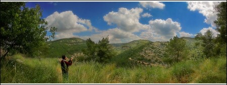 Панорама