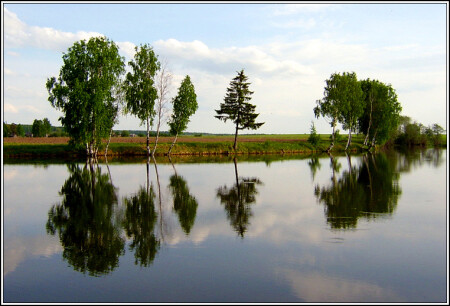 Прекрасная погода.И был такой клев...