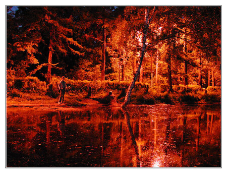 Night park 1