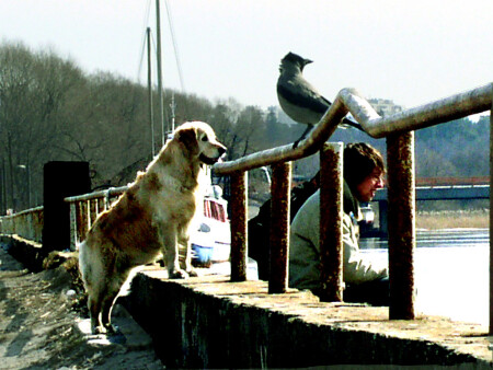 Tam tak Interesno !!! 