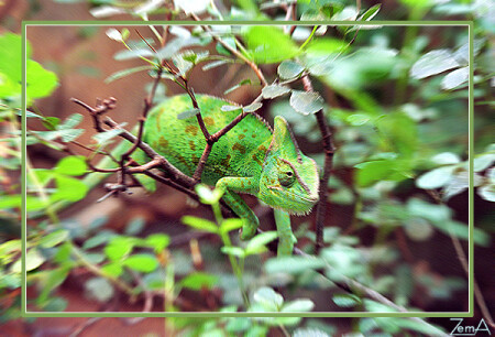 &lt;замаскировался&gt;