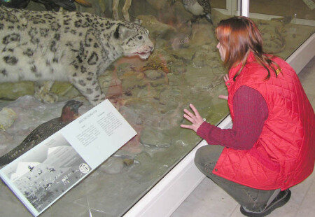 из-за стекла