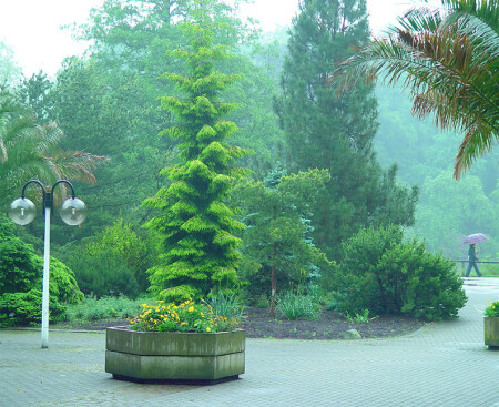 Уголок парка