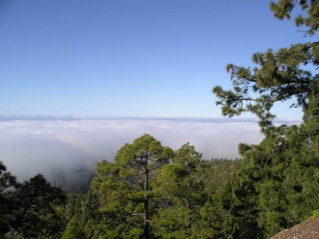 над облаками