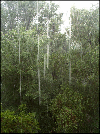 а дождь, оказывается, белый..