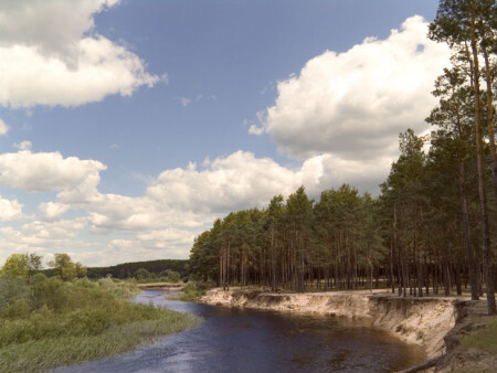 DSC-000466