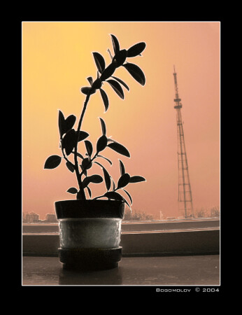 Оно меняется...