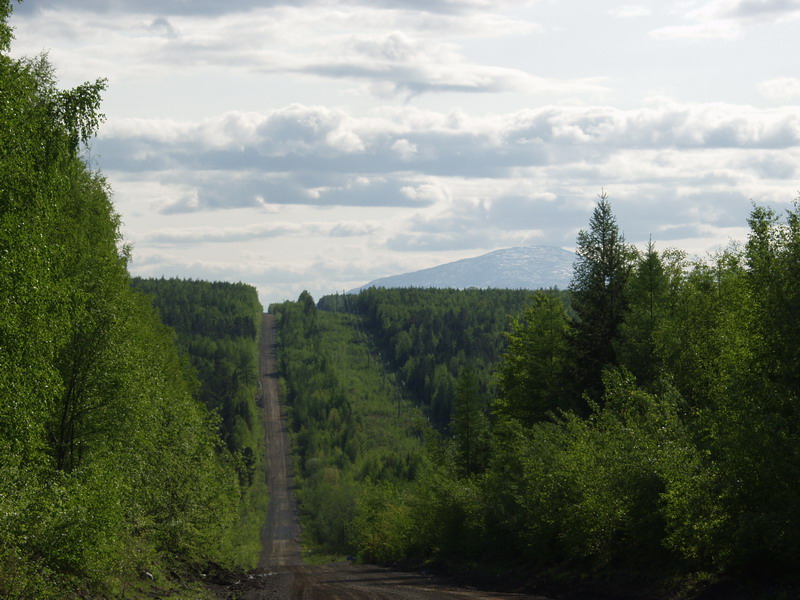 Конжак