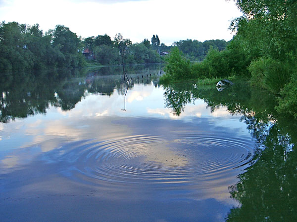 Круги на воде