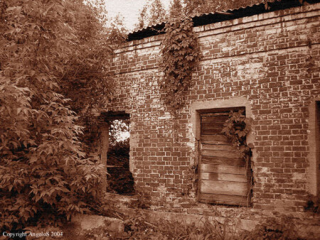 Увядающая жизнь...