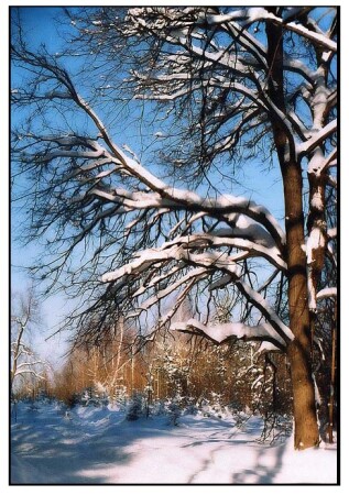 Просто зима.