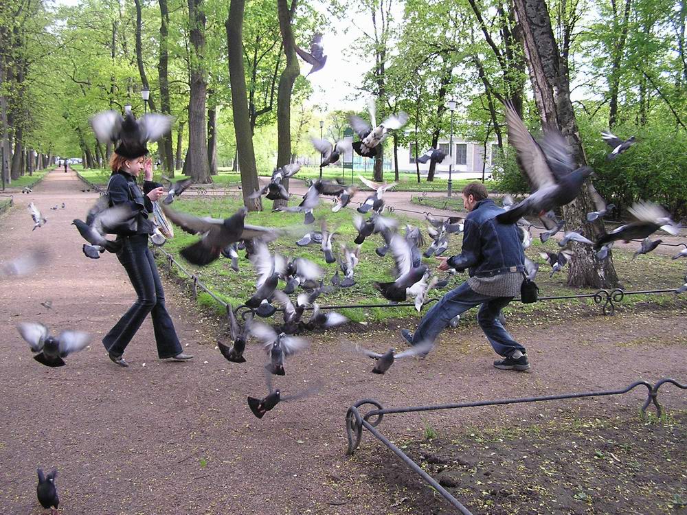Матрица