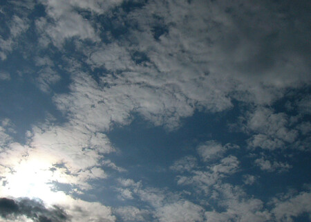 One Paradise Day