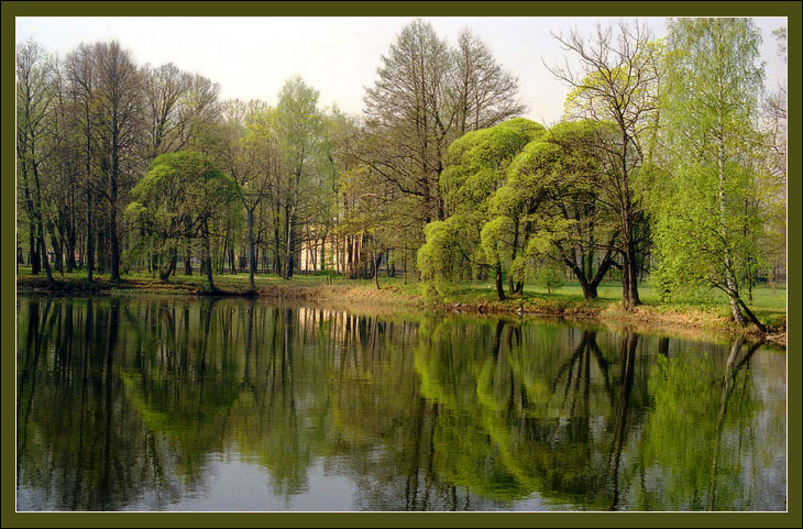 Утро в Петергофе.