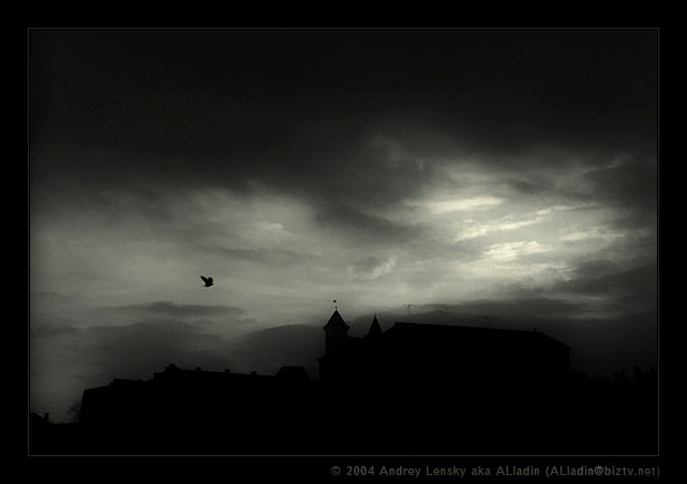 Bird of Pray