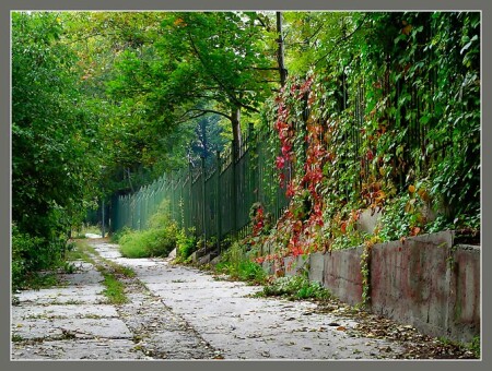 После лета осень