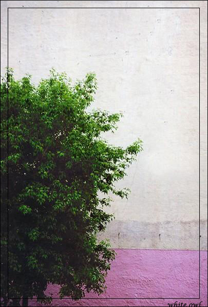 color