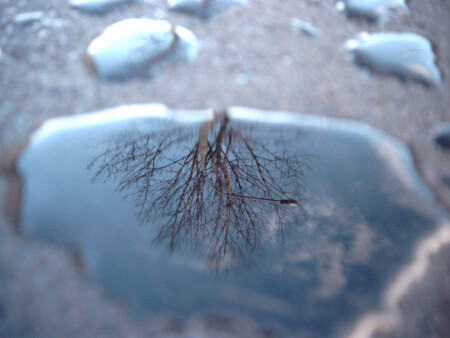 Небеса в капле