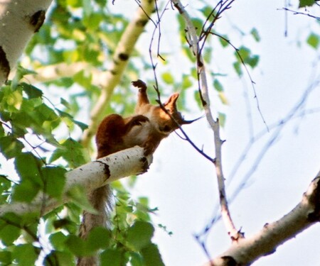 Не, это не зарядка... :)