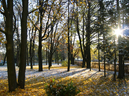 первый снег