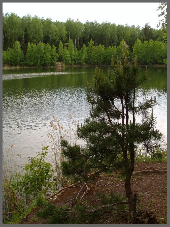 На озере