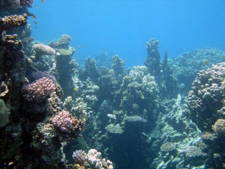 Islands
