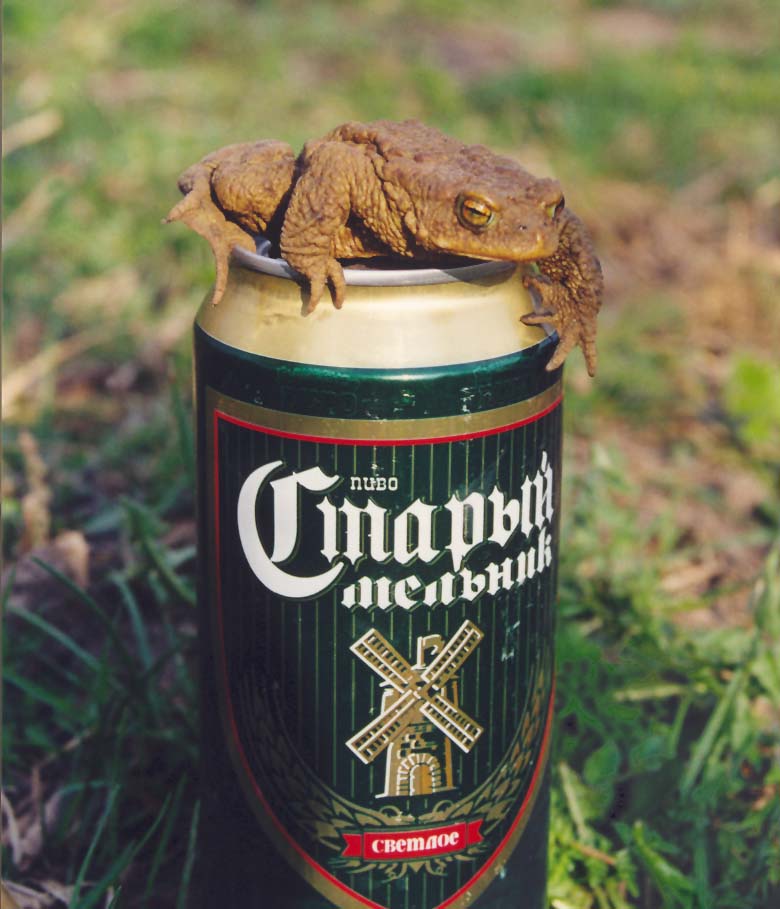 Душевное пиво...