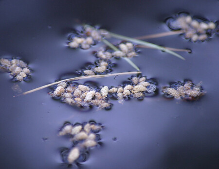 Поверхность