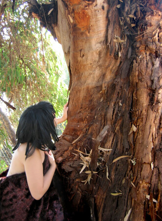 в поисках расчески