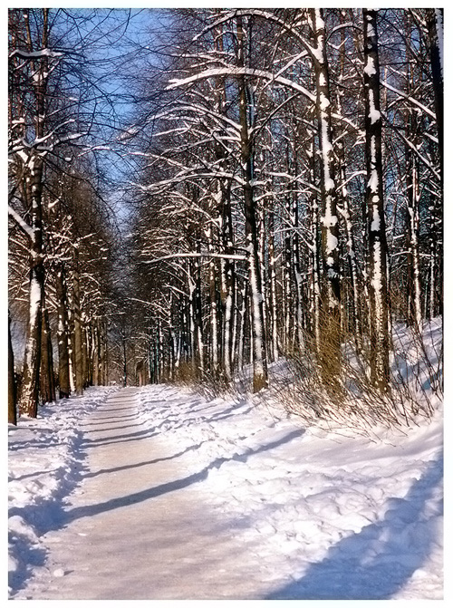 Мороз и солнце, день чудесный!
