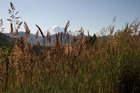 Mount Rainier